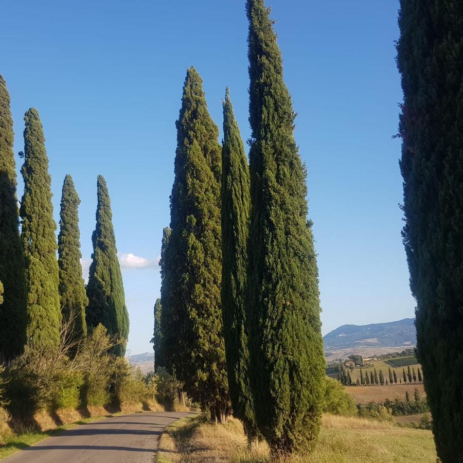 Dimora In San Quirico D'Orcia Daire Dış mekan fotoğraf