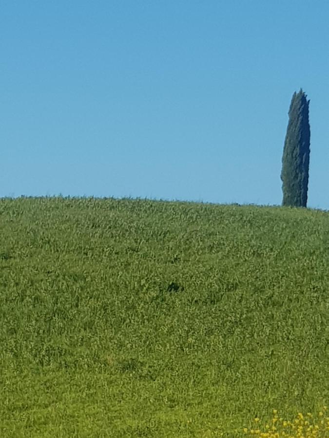 Dimora In San Quirico D'Orcia Daire Dış mekan fotoğraf